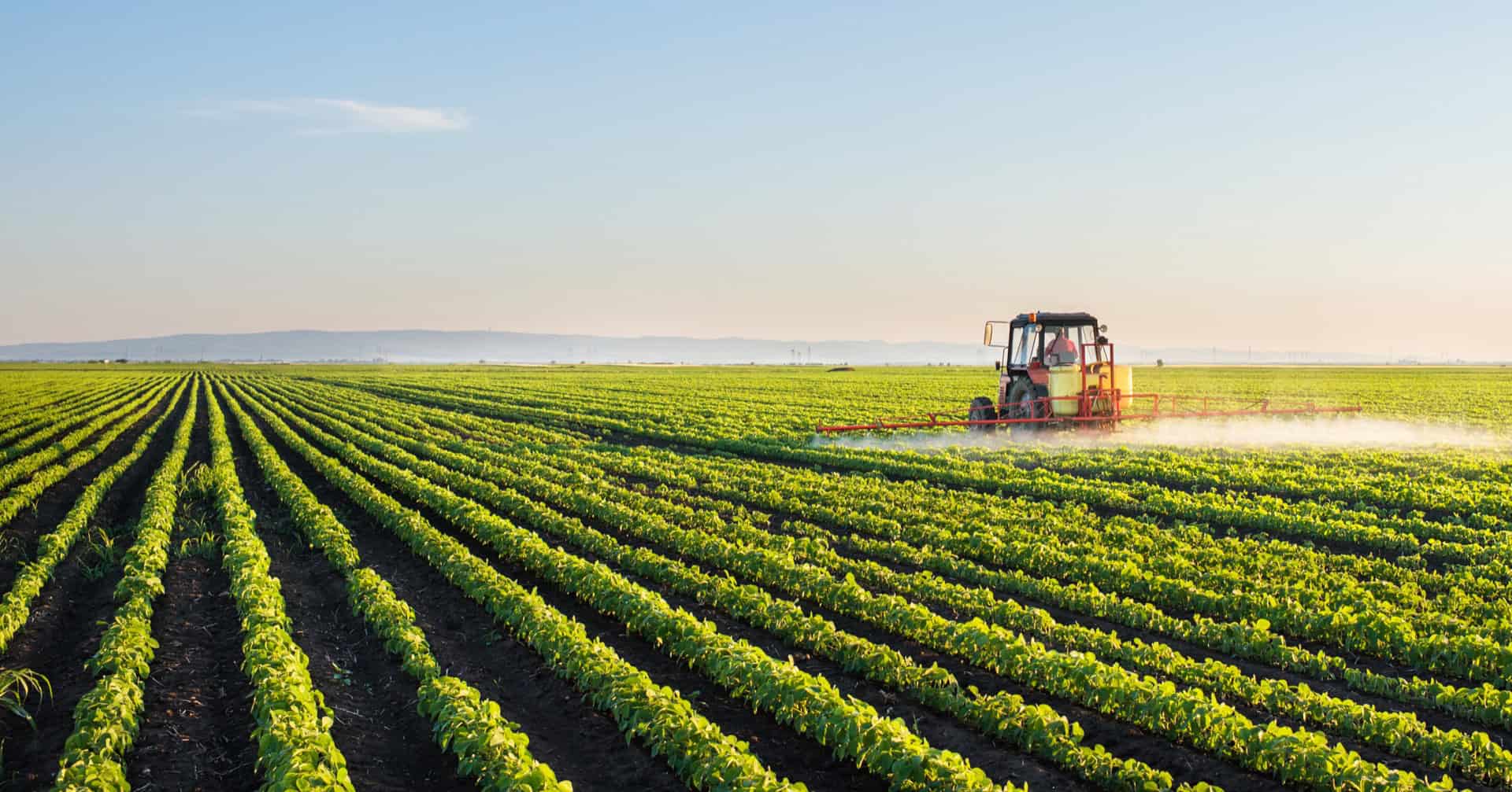 Tractor spraying soybean field in spring