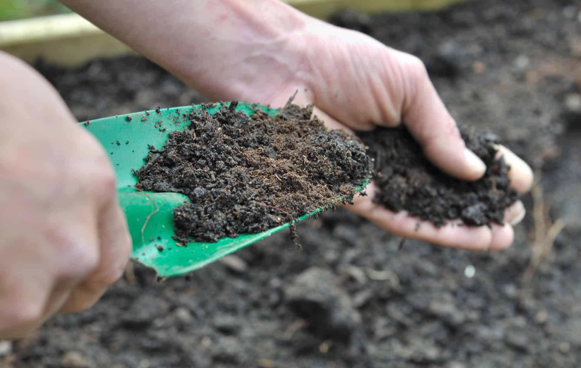 growing-food-at-home