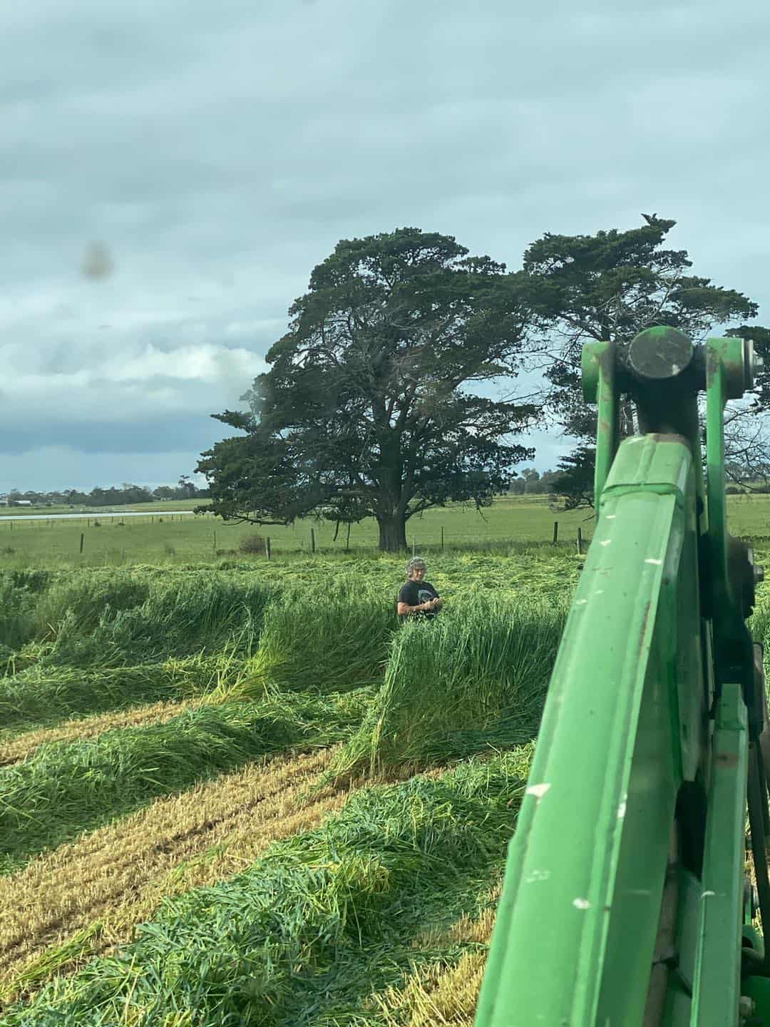 composting-microbials-the-key-to-success-for-this-victorian-beef-producer