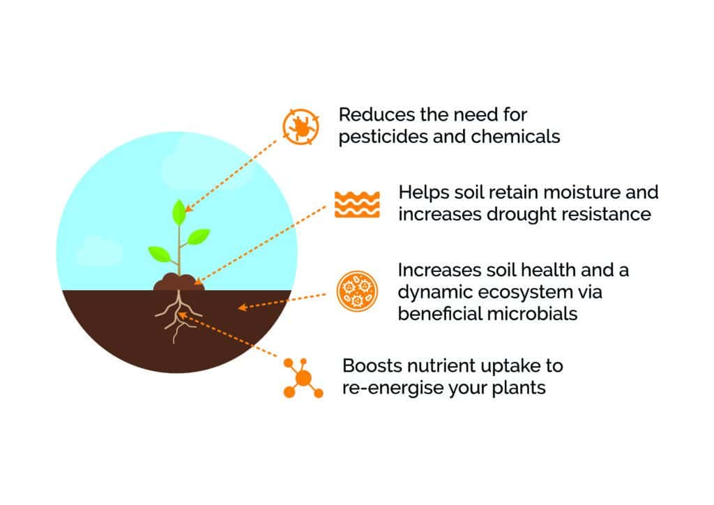 probiotics-for-plants
