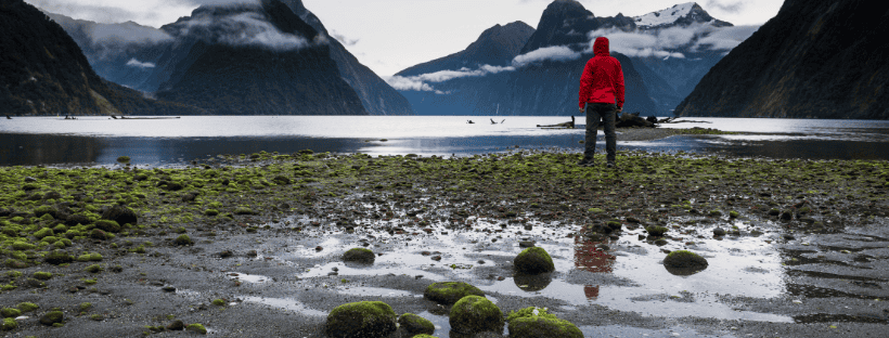 nutrient-pollution-NZ