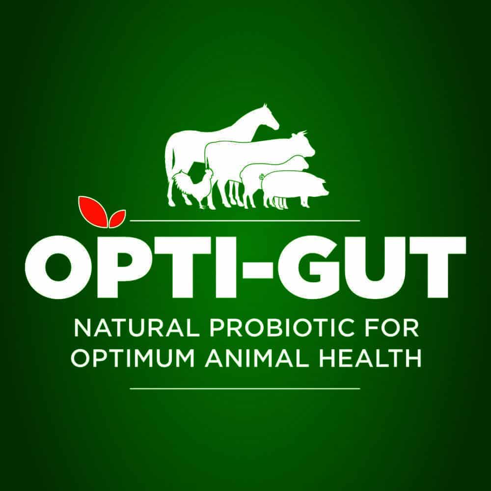 opti-gut-probiotic-for-animals-natural-affordable-animal-probiotic