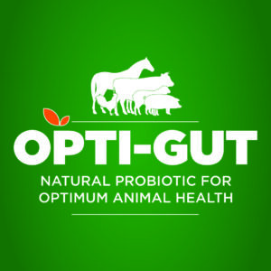 Opti-Gut-Probiotic-for-Animals