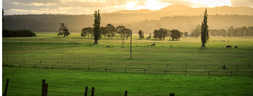Australian-sustainable-farms