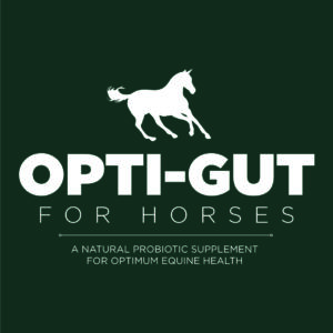 Opti-Gut-Probiotic-for-Horses