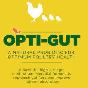 optigut-probiotic-poultry
