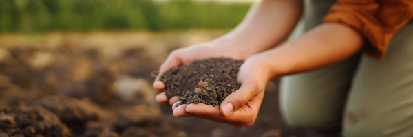 how-to-make-quality-compost-from-livestock-manures