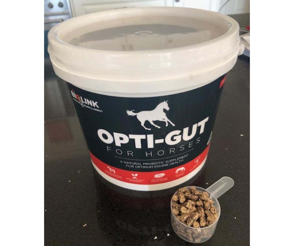 Opti-Gut-pelletised-horse-probiotic