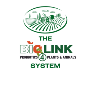 Biolink-system-healthy-soil