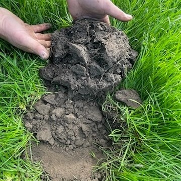 WA-farmer-Nullawarre-soil