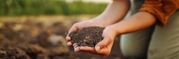 Healthy-soil-reasons-to-nurture